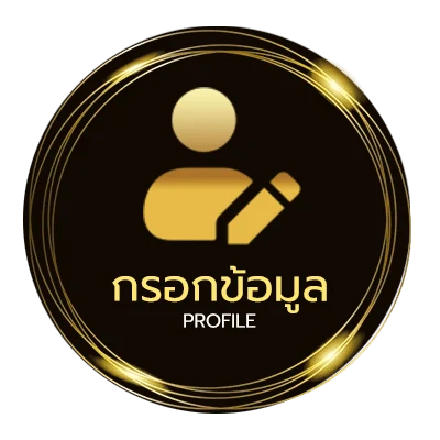 ข้อมูลส่วนตัว pg pocket games soft